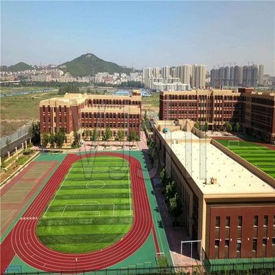 Anti Skidding Rubber Athletic Track No Cracking No Blistering